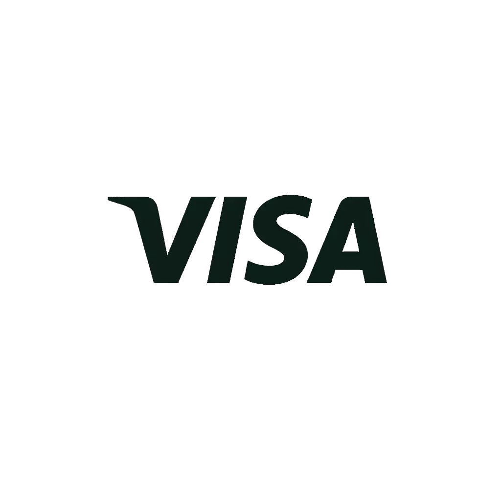 Visa payment method icon